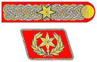 Жёлтая шестиконечная звезда на погонах и петлице Эрнста Рёма главы штурмовиков СА и ахтунга